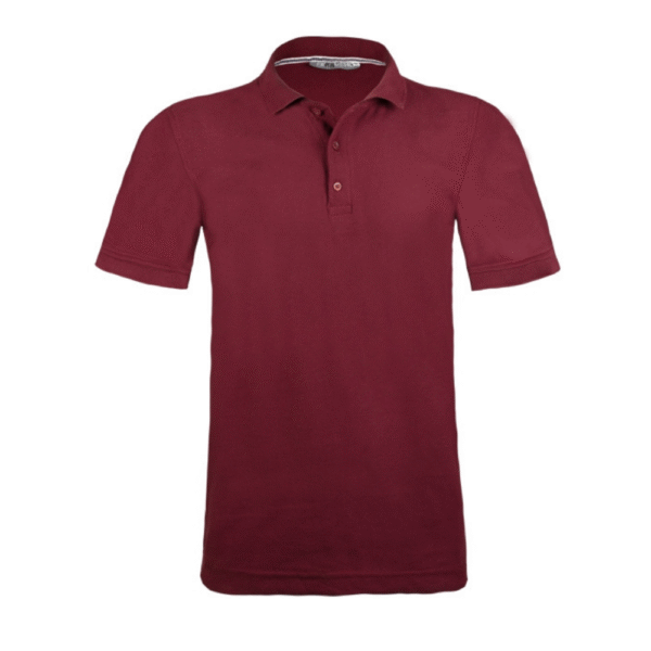 PLAYERA TIPO POLO